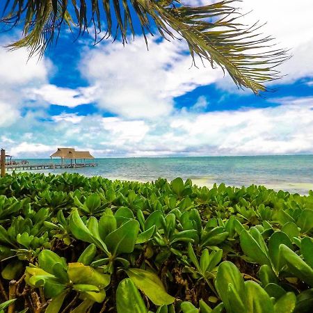 Punta Me Beach Suites Cancun Ngoại thất bức ảnh