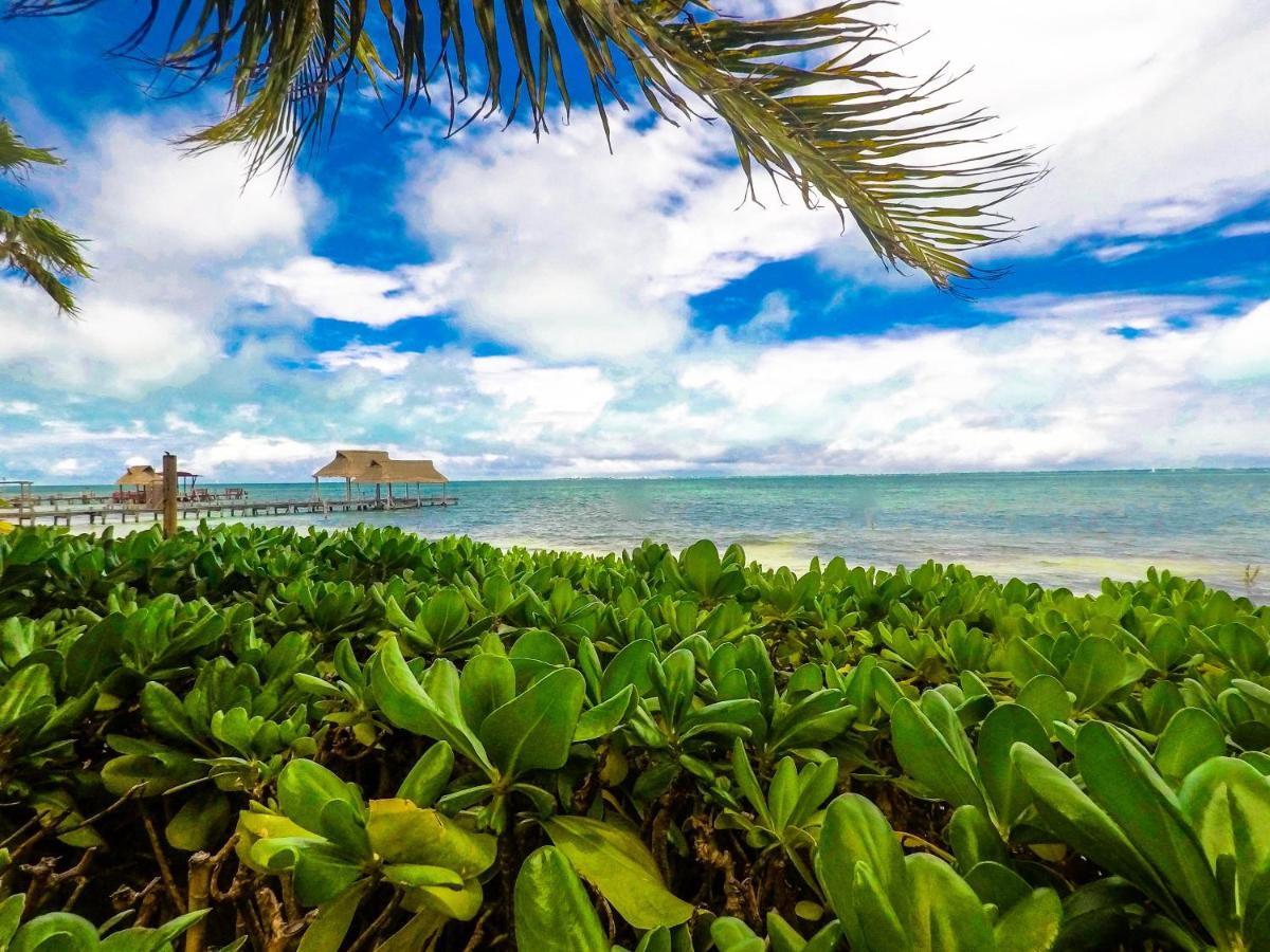 Punta Me Beach Suites Cancun Ngoại thất bức ảnh