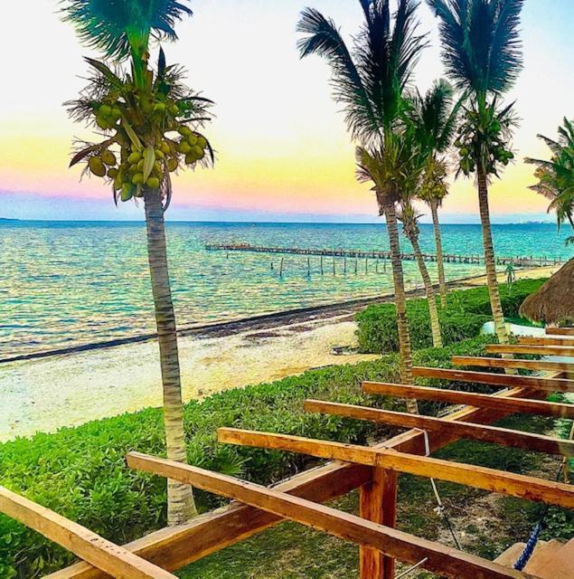Punta Me Beach Suites Cancun Ngoại thất bức ảnh